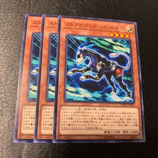 ストライピング・パートナー ノーマル