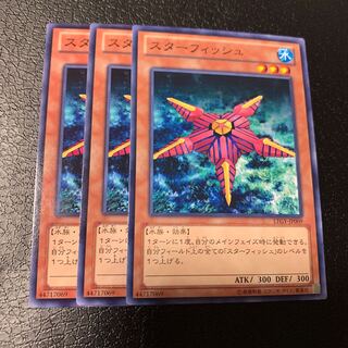 スターフィッシュ ノーマル