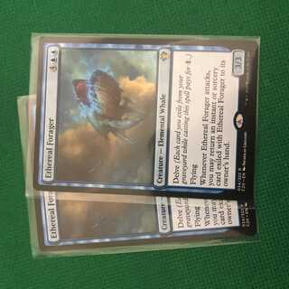 天上の餌あさり 英語版 2枚