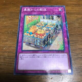 農園からの配送 ミレニアム