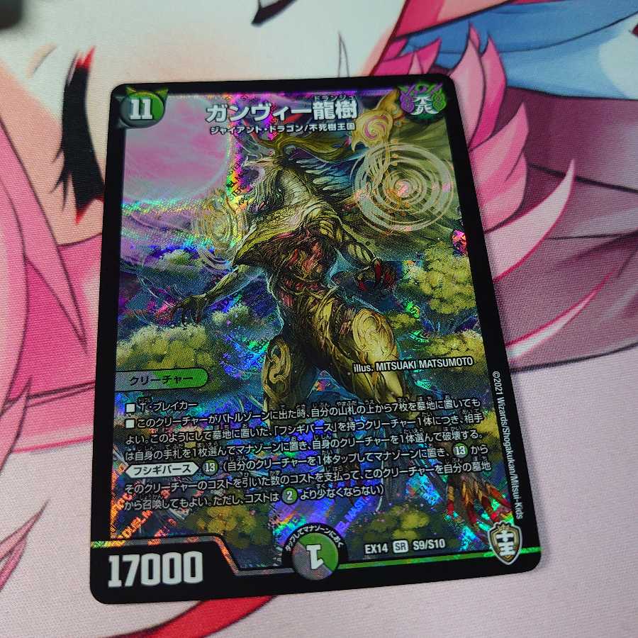 ガンヴィー龍樹