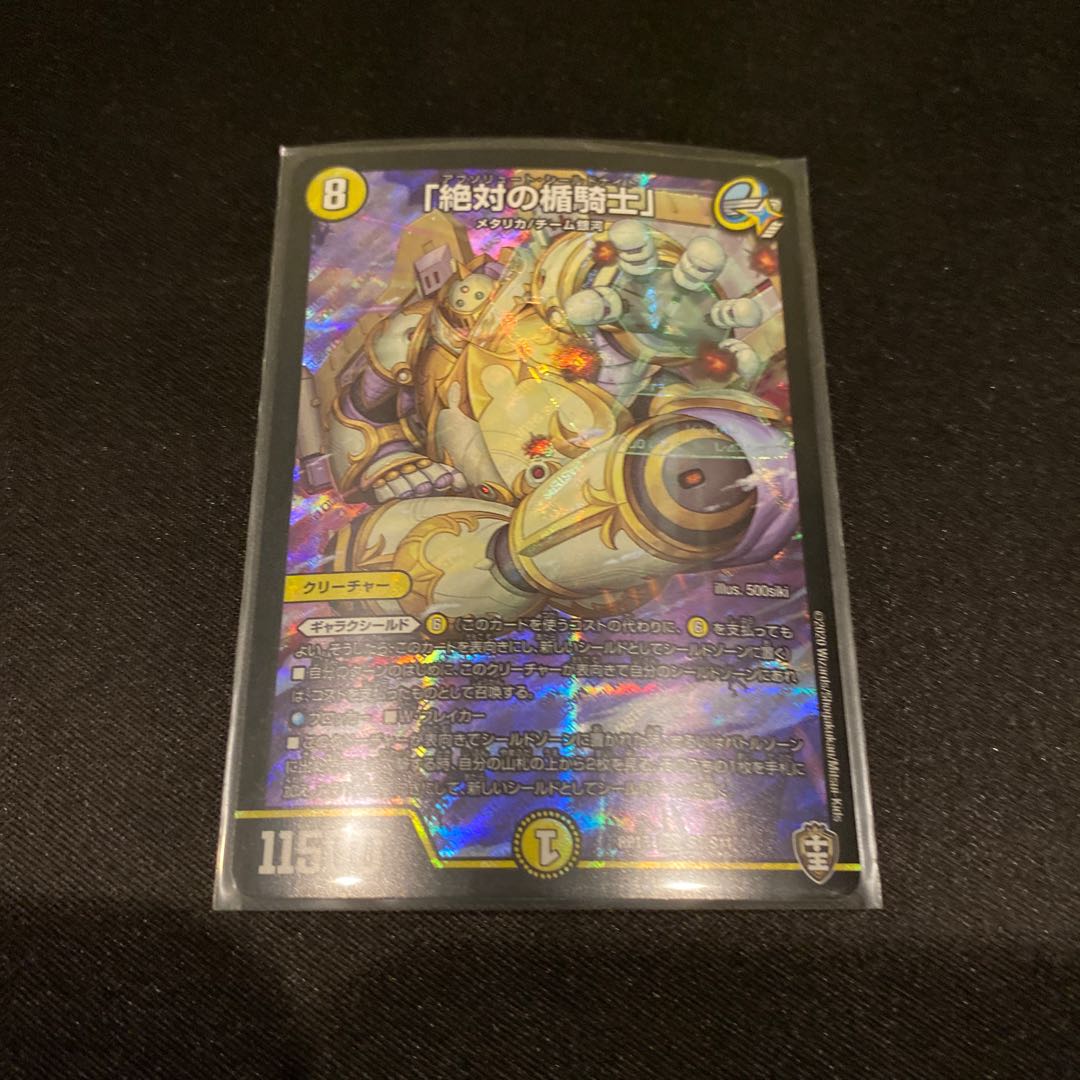 「絶対の楯騎士」