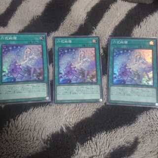 六花絢爛＋スノードロップ てら様専用