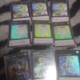 六花聖ストレナエ＋