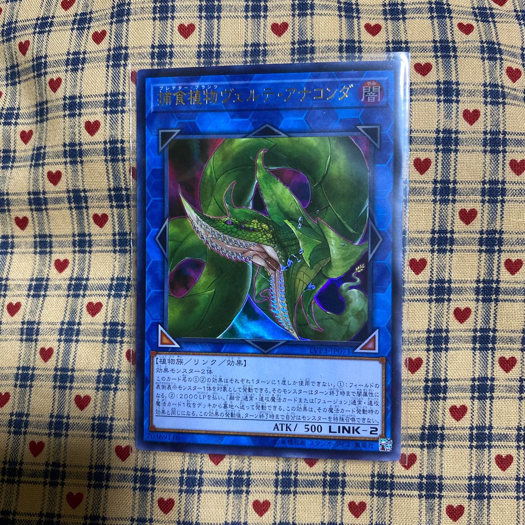 アジア版【捕食植物ヴェルテ・アナコンダ】ウルトラレア