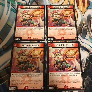 ハエタタ・チュリス