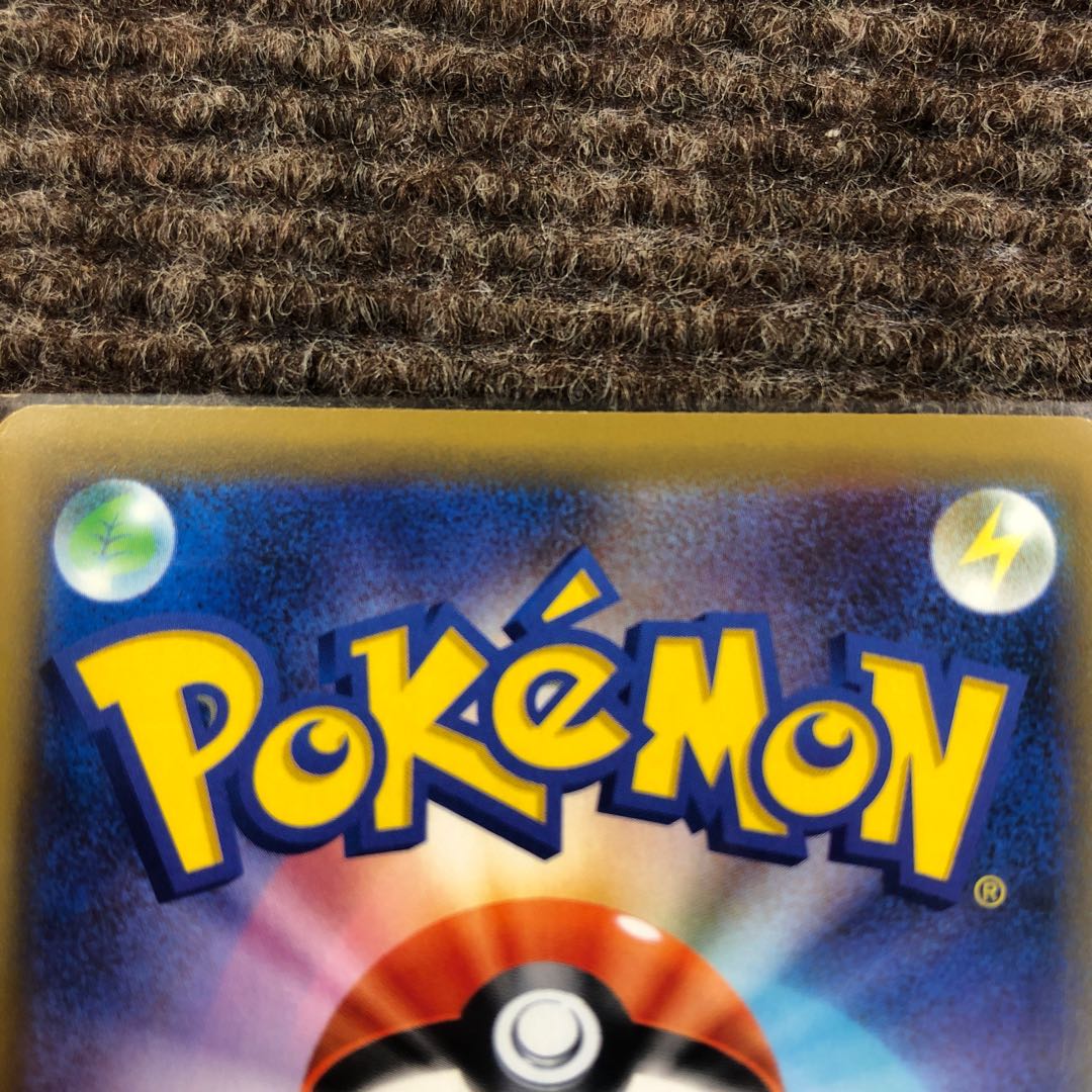 海で遊ぶピカチュウ2枚