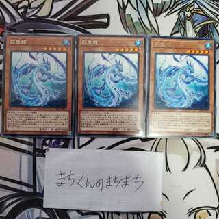 676　彩宝龍3枚set