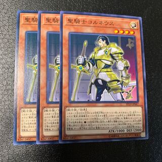 聖騎士コルネウス ノーマル