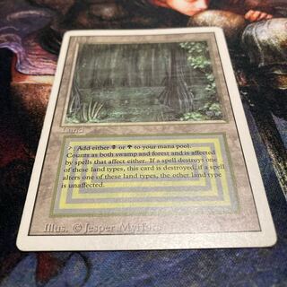 3ED 英語版 bayou 【リバイズド】