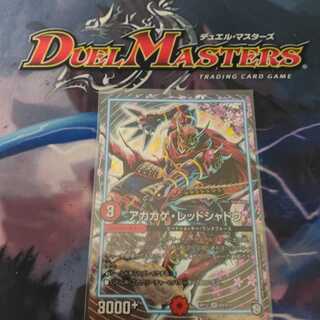 アカカゲ・レッドシャドウ