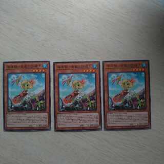 Umi Zouzou - Blonde Training Life 3 copies, concurrent purchase discount available