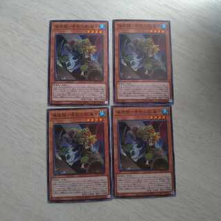 海造賊-赤髭の航海士　同時購入割引あり