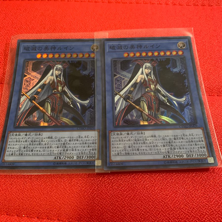 【おまけ付】破滅の美神ルイン　