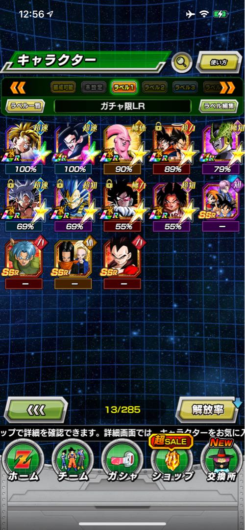 ドッカンバトル 最強リーダー等