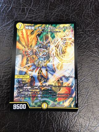 神聖龍 エモーショナル・ハードコア