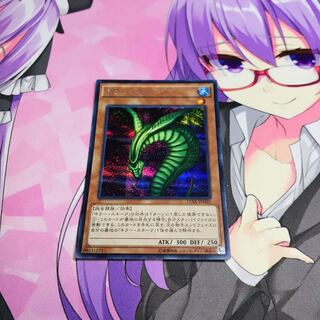 キラー・スネーク【シク】