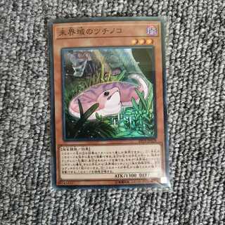 未界域のツチノコ スーパーレア