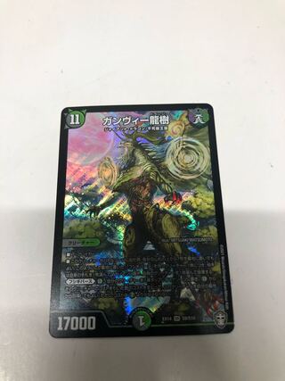 ガンヴィー龍樹