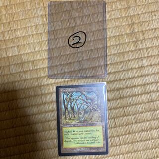 ガイアの揺籃の地　②