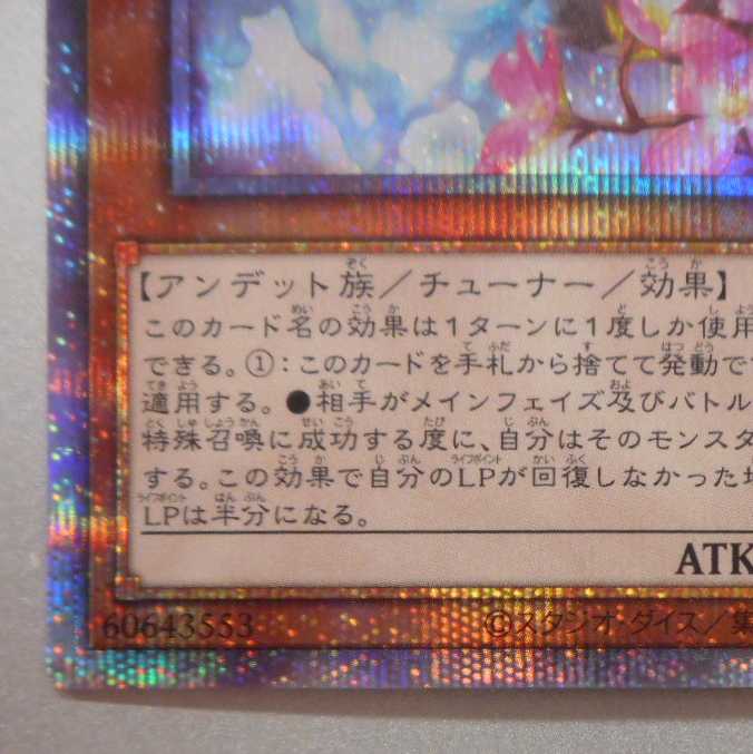 (Beautiful) Ghost Sister & Spooky Dogwood Prismatic Secret Rare New Illustration