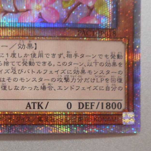 (Beautiful) Ghost Sister & Spooky Dogwood Prismatic Secret Rare New Illustration