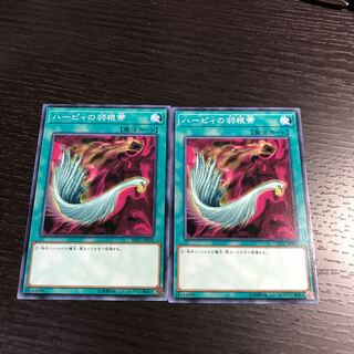 ハーピィの羽根帚