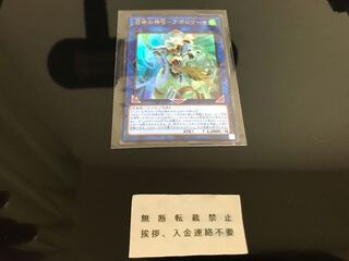 召命の神弓-アポロウーサ ウルトラ