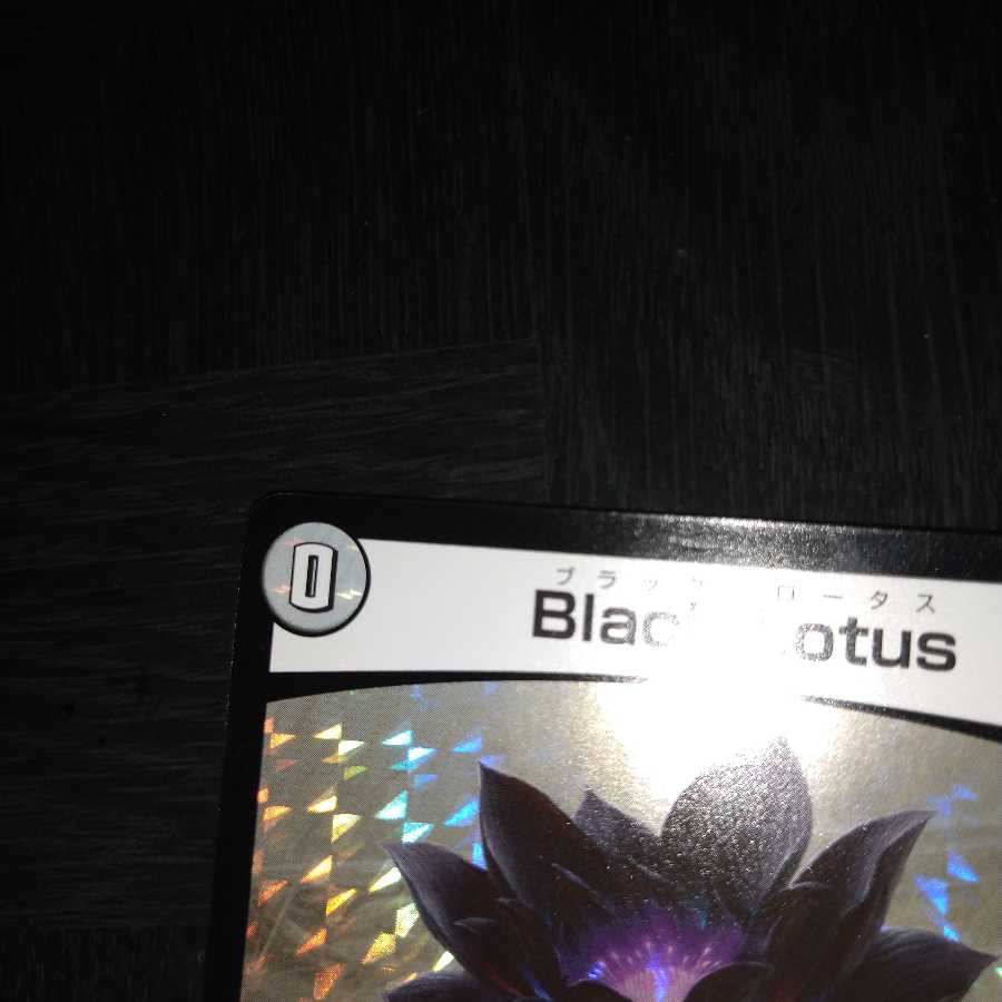 Black Lotus ブラックロータス