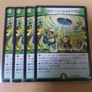 コクーン・シャナバガン 4枚