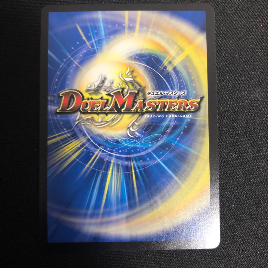 生命と大地と轟破の決断 シク