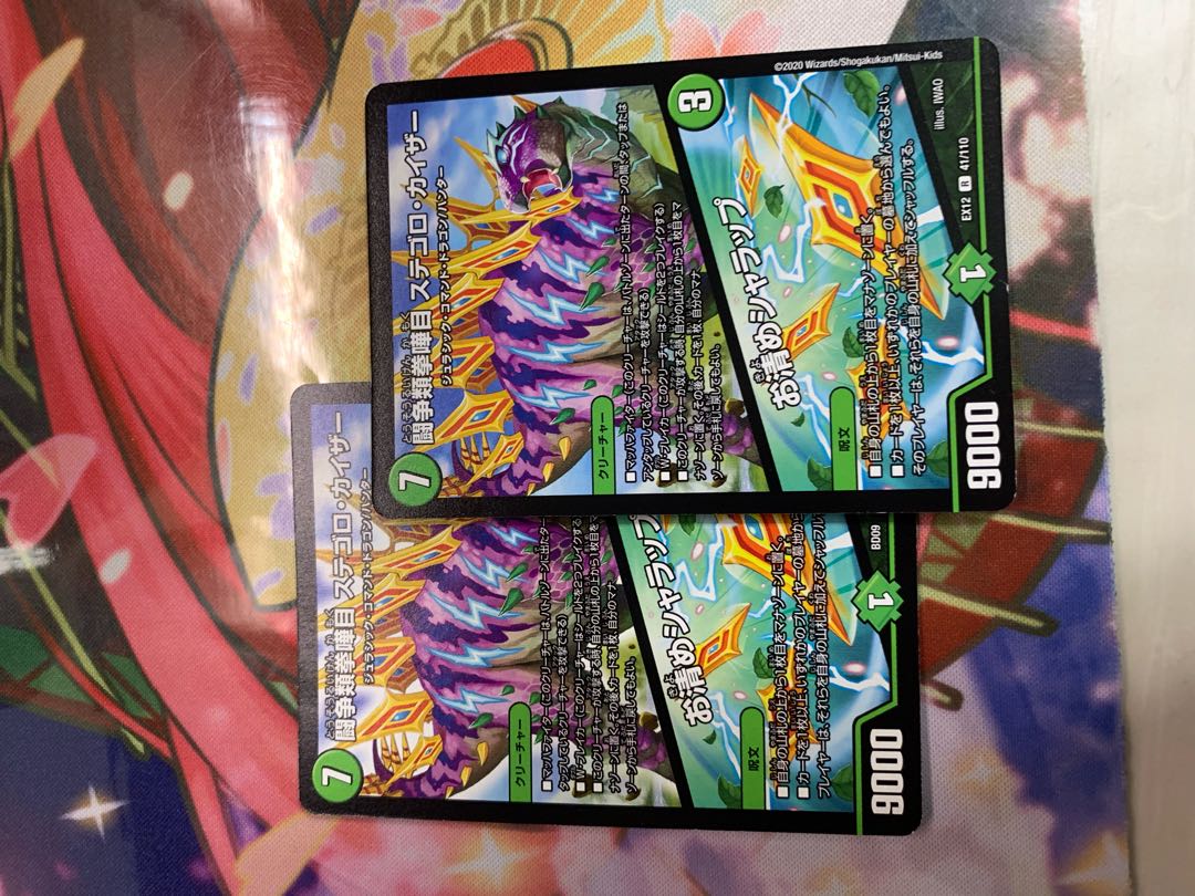 闘争類拳嘩目 ステゴロ・カイザー|お清めシャラップ