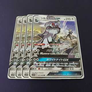 専用 シルヴァディGX