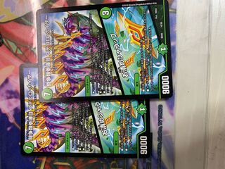 闘争類拳嘩目 ステゴロ・カイザー｜お清めシャラップ