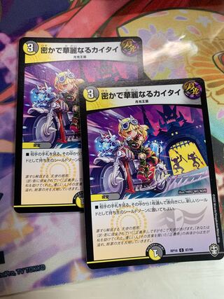 密かで華麗なるカイタイ