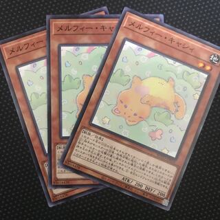 メルフィー・キャシィ