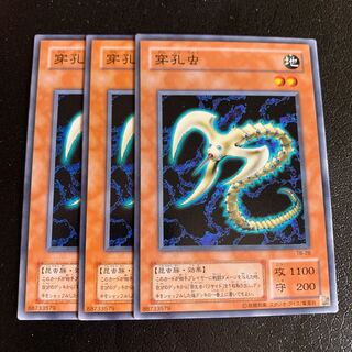 穿孔虫 ノーマル