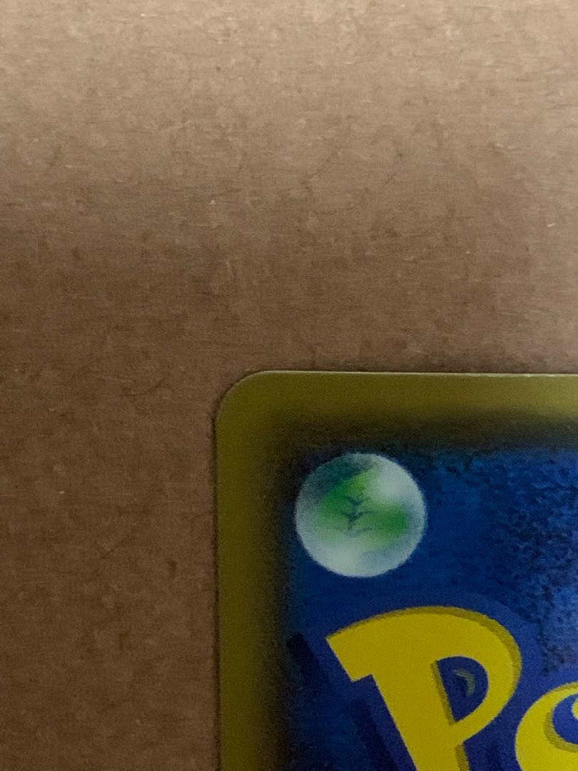 【専用】リザードンVMAX SSR