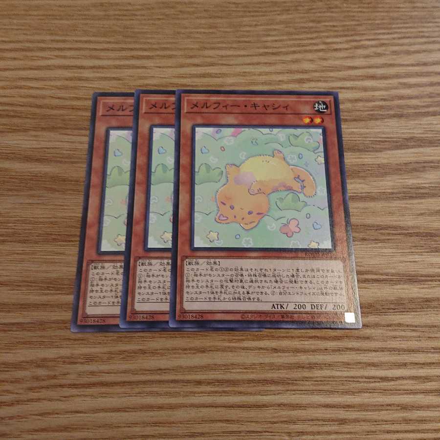 メルフィー・キャシィ