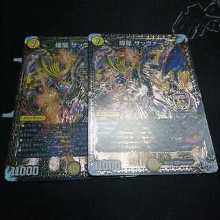 煌龍 サッヴァーク 2枚