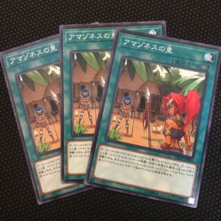 アマゾネスの里