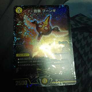 音奏 プーンギ　csp