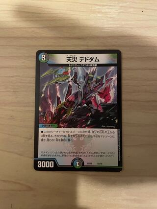 天災 デドダム 1枚