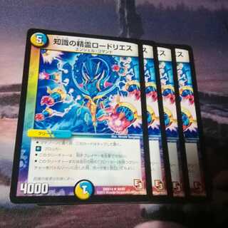 知識の精霊ロードリエス　４枚