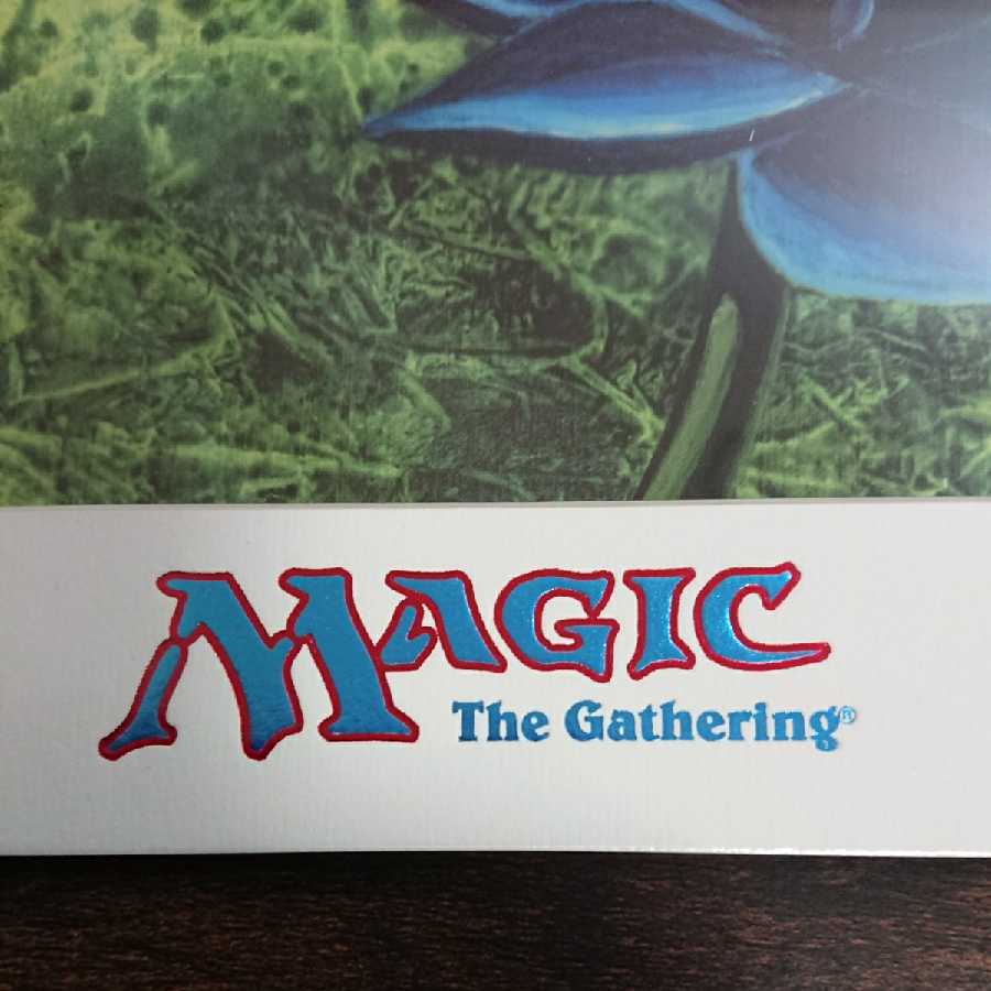 《Black Lotus》枚数限定アートプリント/複製原画 証明書付未開封