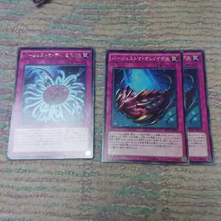 バージェストマ・ディノミスクス