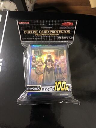 新品未開封 ドラゴンメイドのお見送り スリーブ