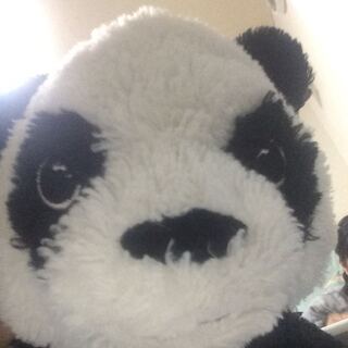 ポケカ勢様専用