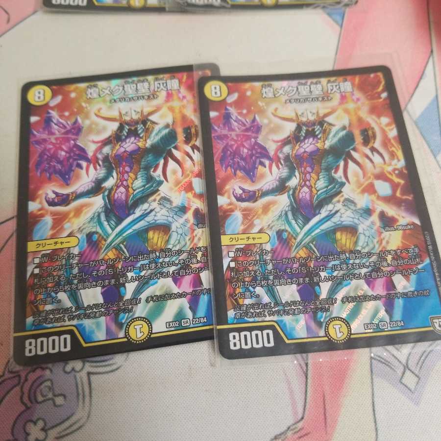 煌メク聖壁 灰瞳