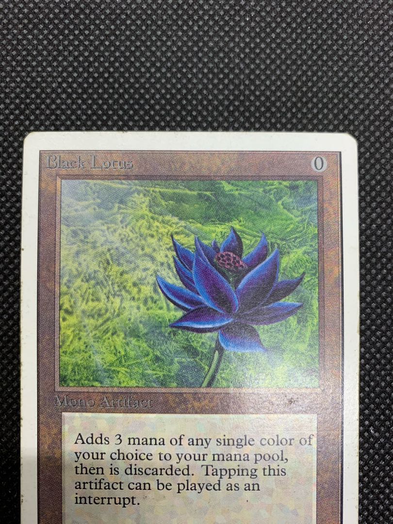 black lotus